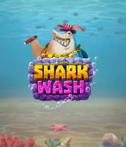 Насладитесь веселым подводным приключением с слотом Shark Wash от Relax Gaming, выделяющим яркую графику морских существ, получающих чистку. Примите участие в веселью, когда акулы и другие морские животные проходят через игривой чисткой, включая увлекательные механики вроде бесплатных вращений, вайлдов и специальных бонусов. Идеально для геймеров, кто ищет веселого игрового опыта с уникальной тематикой.